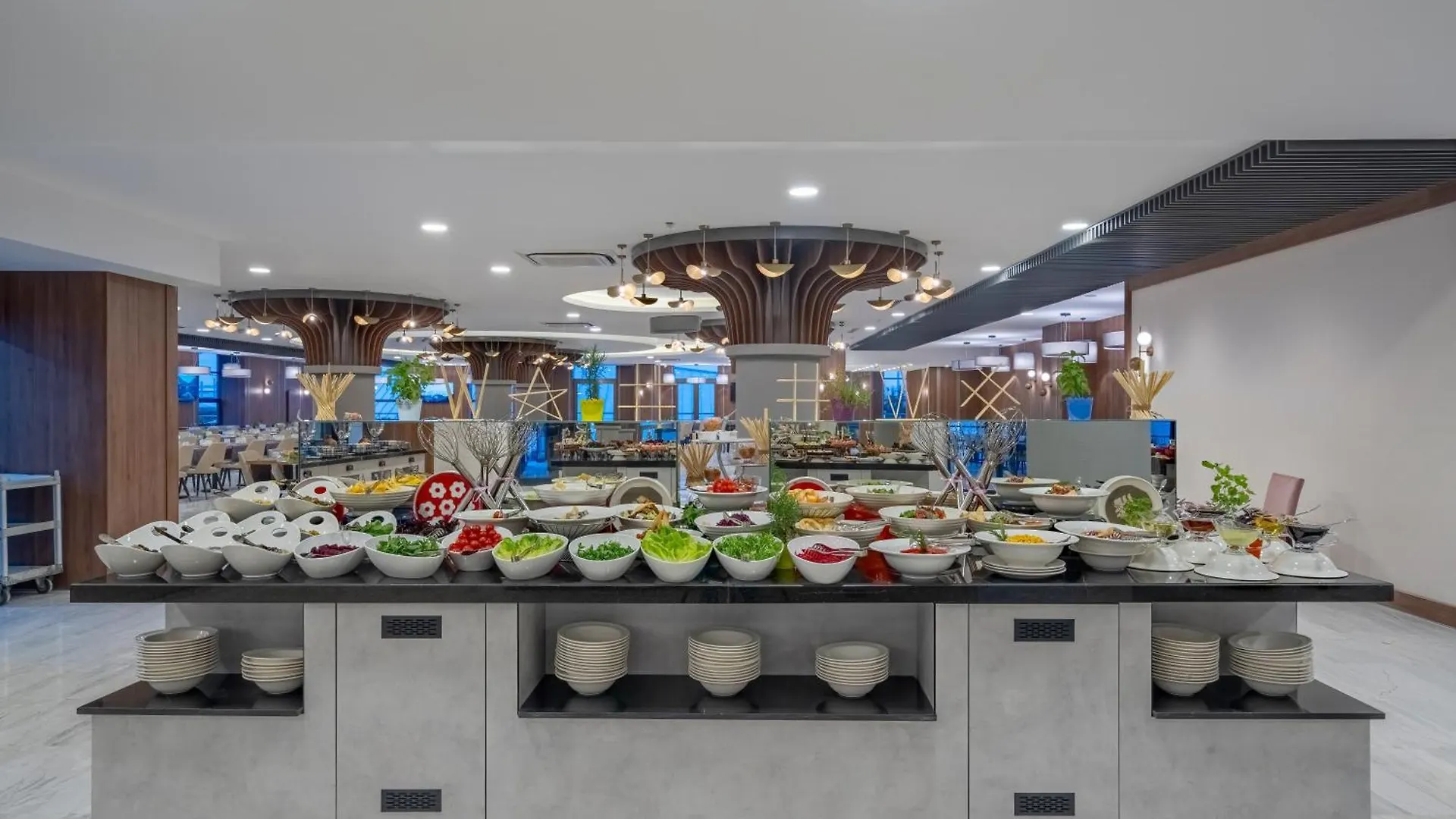 Wyndham Afyonkarahisar Thermal&Spa 호텔